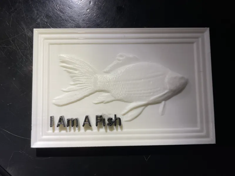 Fish Reflief Sculpture