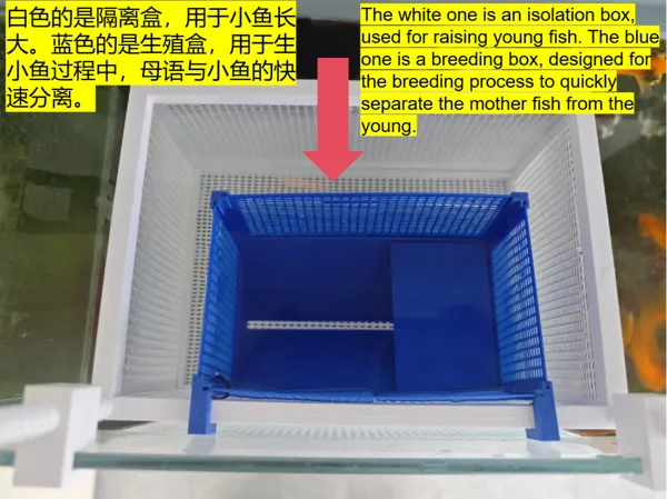 https://makerworld.bblmw.com/makerworld/model/US5776e2a733dcf2/design/2025-11-11_0422cdb8d37f6.png