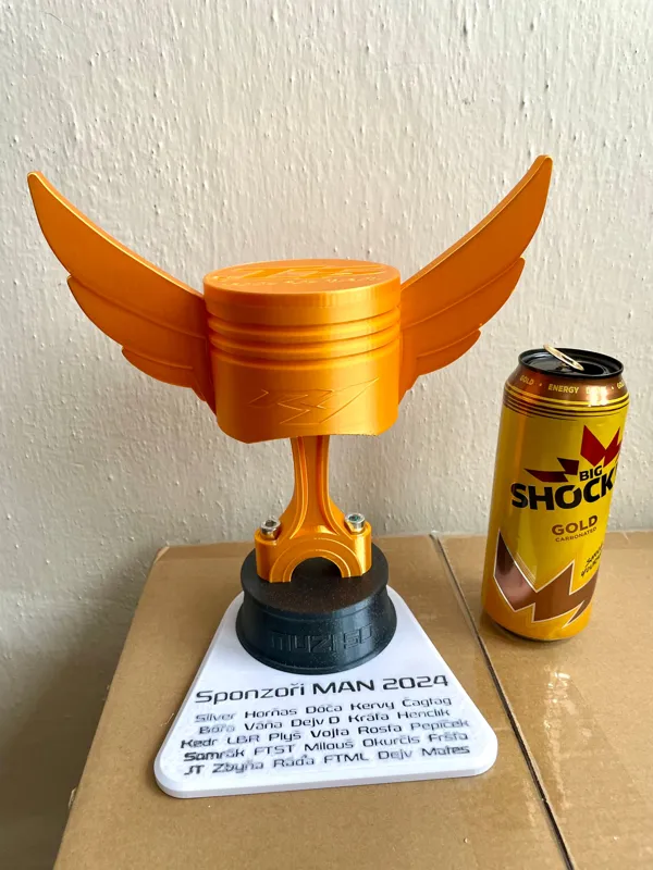 https://makerworld.bblmw.com/makerworld/model/US577839828ea402/design/2023-12-17_4otemty5leir.jpg