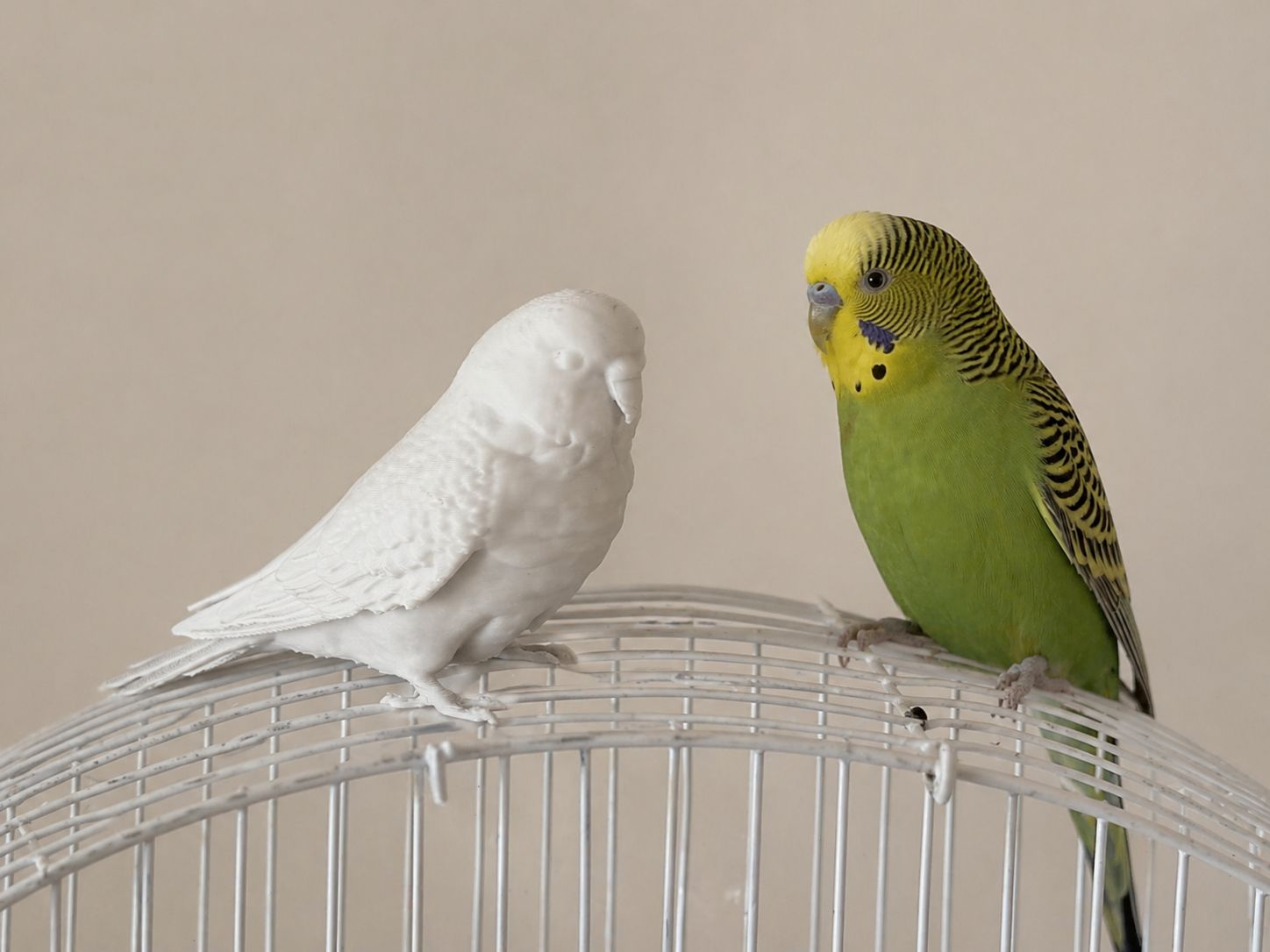 Realistic Budgerigar (Budgie) Figurine – Parakeet