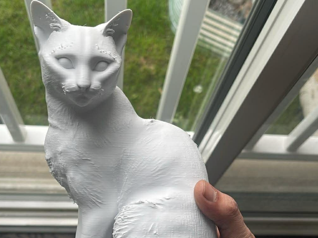 mr cat " realistic cat" 