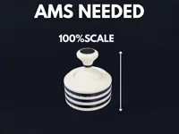 100% Scale AMS
