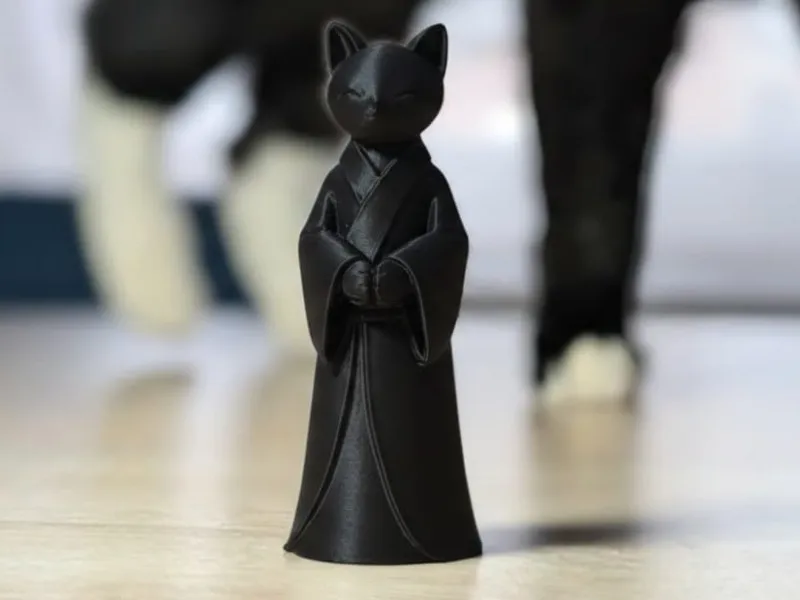minimalistic Zen Cat