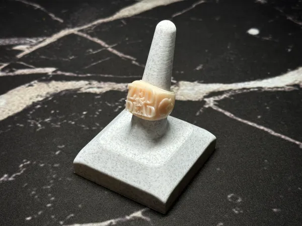 https://makerworld.bblmw.com/makerworld/model/US578f8f238678c0/design/2025-02-03_2acc1756f9ba7.jpeg