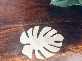 monstera coaster