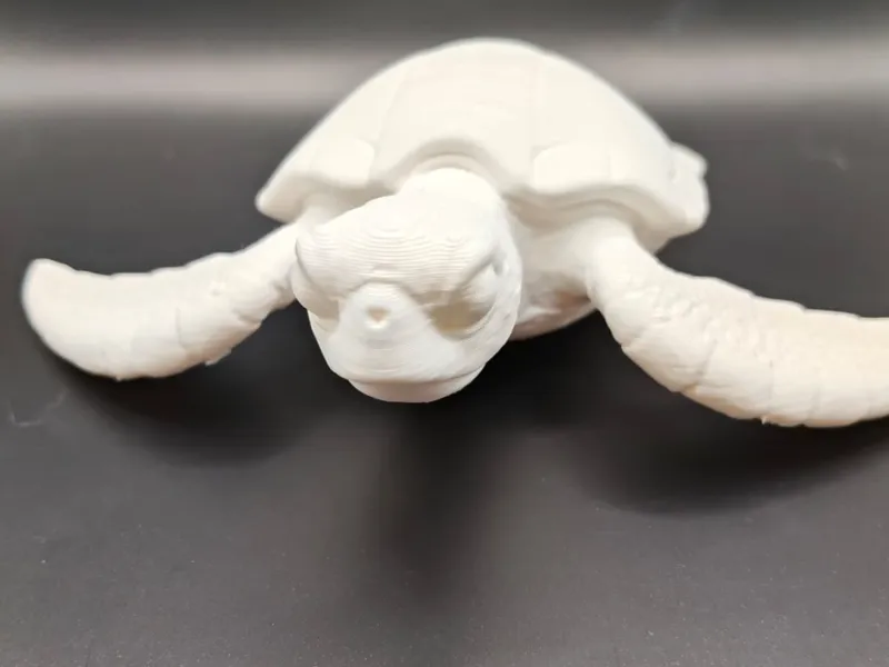 Ocean Tortoise – Solid Model