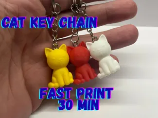 Cat key chain