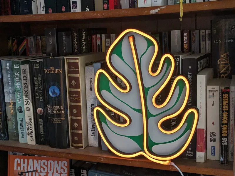 Neon Monstera Variegata - Pas besoin d'AMS !