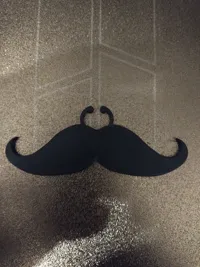 Moustache — photo 2