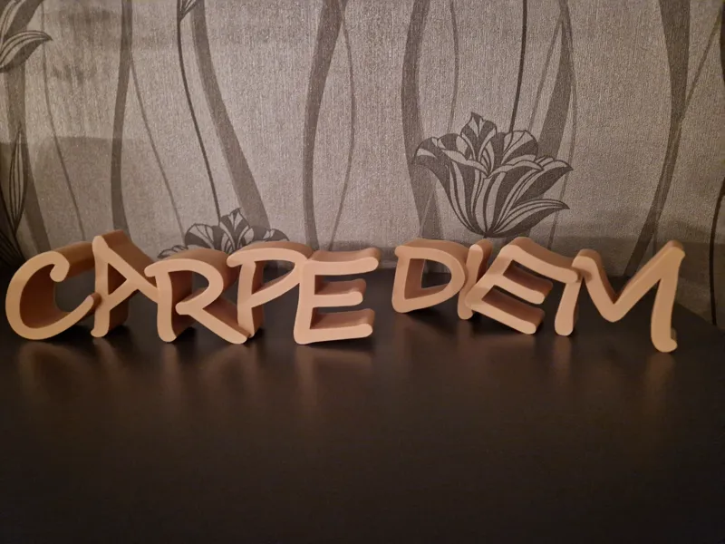 Carpe Diem Deko Schild