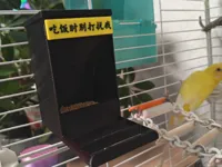 食盒