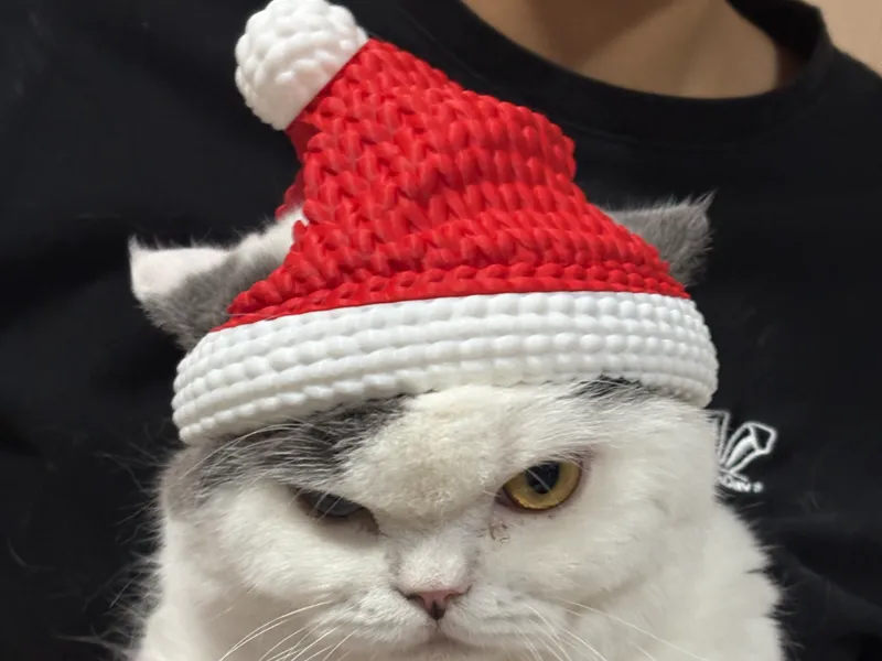 Santa hat for cat | Chrismas