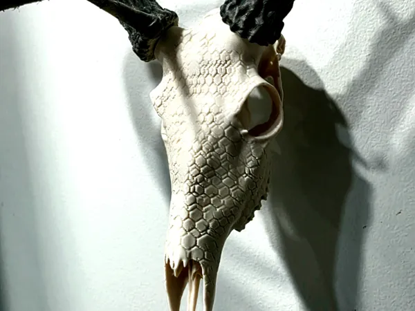 https://makerworld.bblmw.com/makerworld/model/US57a59ba68839a0/design/5bd2d2ab2a1e10a7.jpg