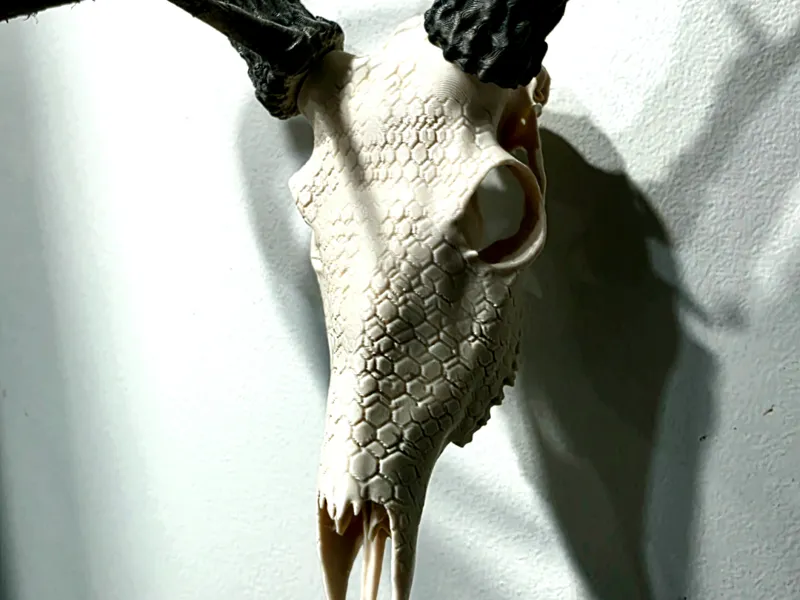 Graphic Skull - Hex - BAS Deer Antler Mount