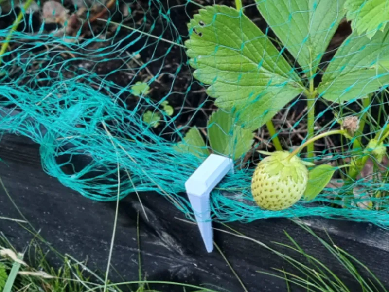 Net Protector