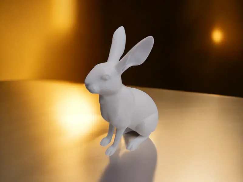 curious rabbit