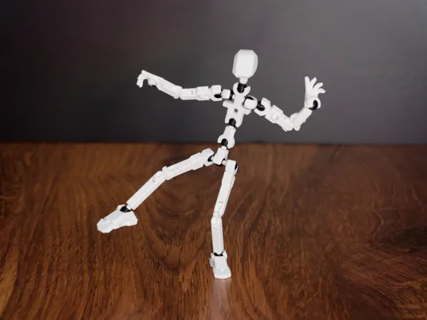https://makerworld.bblmw.com/makerworld/model/US57a68a2fb5c93d/design/2024-12-09_85f48457c658a.jpg