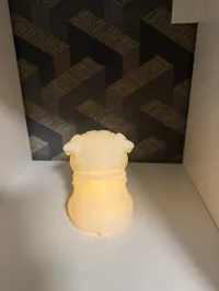 Lampe LED en forme de carlin — photo 5