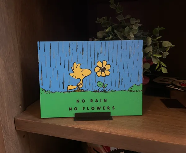 https://makerworld.bblmw.com/makerworld/model/US57a92a15b4908d/design/2024-11-14_0ad6e0a52445a.jpeg