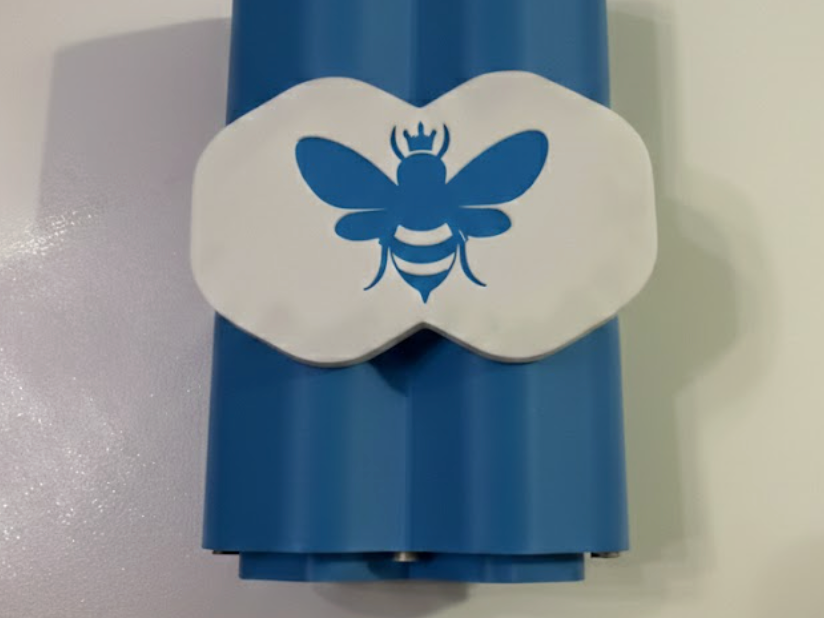 Case for Hollow knight Hive