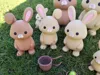 Bunny Medium