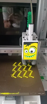 0.12mm layer, 2 walls. 4-color. green
