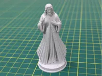 0.16mm layer, 2 walls, 15% infill