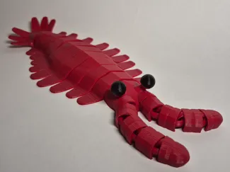 Print in place Anomalocaris