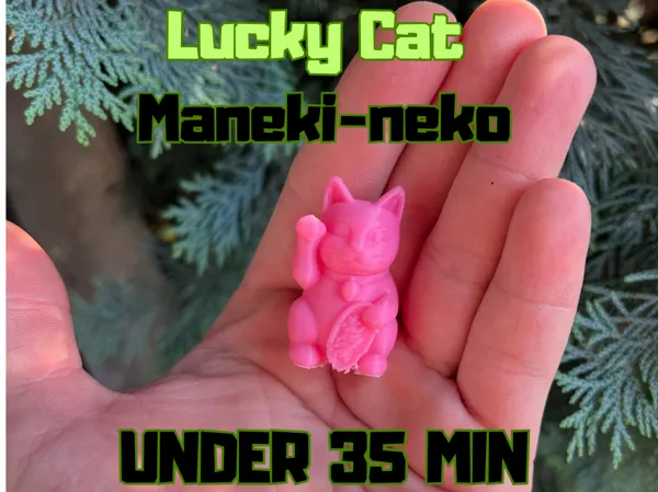 https://makerworld.bblmw.com/makerworld/model/US57b60a1ef6dfc7/design/2025-07-03_dc56479847d97.png