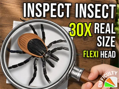 Inspect Insect (Arthropods) - Tick