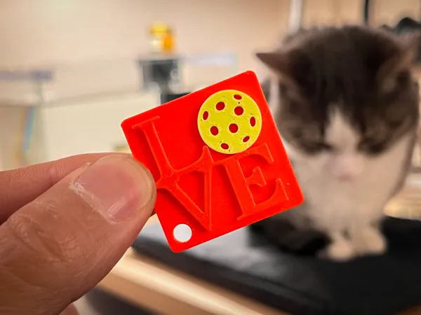https://makerworld.bblmw.com/makerworld/model/US57c795580470f0/design/2025-01-17_38e4af2095aa8.jpg