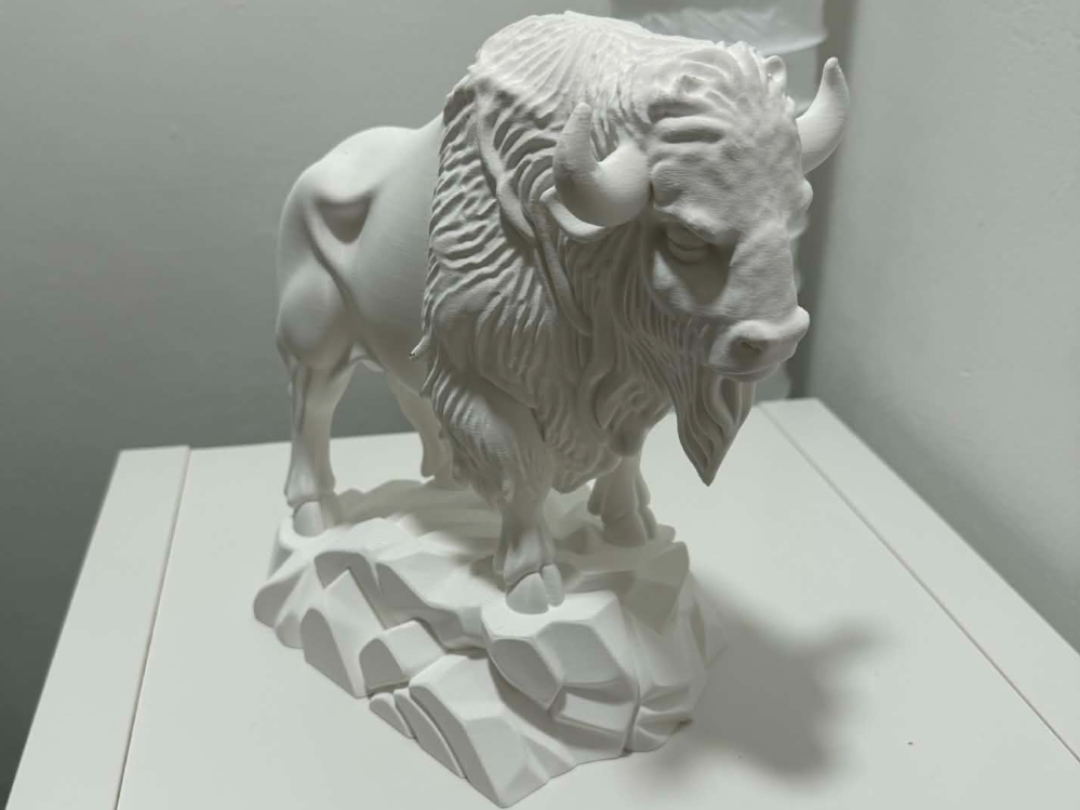 Bison or Buffalo
