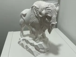 Bison or Buffalo