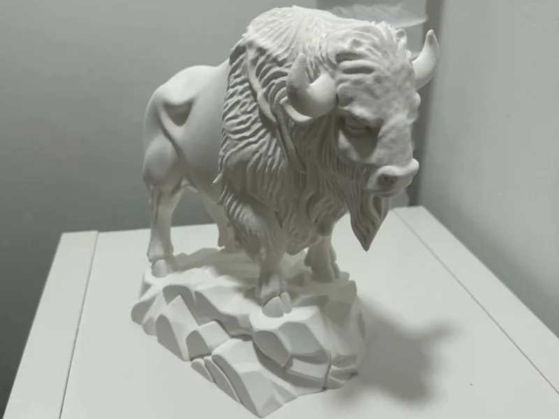 Bison or Buffalo