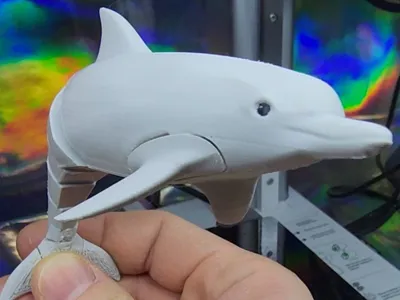 Articulated Dolphin