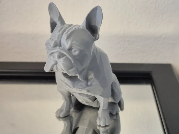 https://makerworld.bblmw.com/makerworld/model/US57cfb4a6743d97/design/2025-03-06_3e07bb844c574.jpg