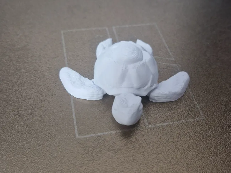 tartaruga art 3d