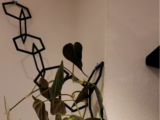 Chain plants support, trellis