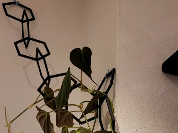 https://makerworld.bblmw.com/makerworld/model/US57d69e6d8f9861/design/2025-01-12_3830c25398d12.jpg