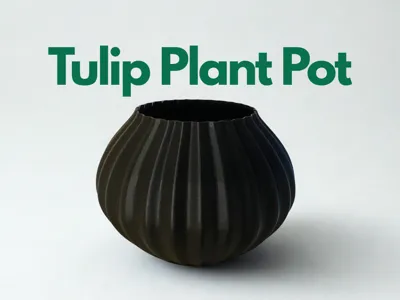 Tulip plant pot