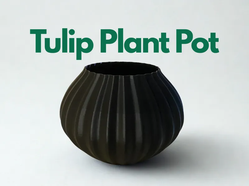 Tulip plant pot