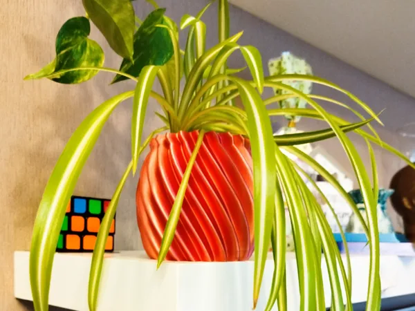 https://makerworld.bblmw.com/makerworld/model/US57deccbebf7299/design/2025-03-08_afe95da3bc373.jpg