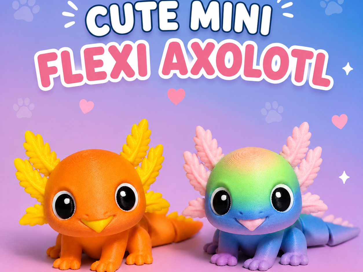 Cute Mini Flexi Axolotl 3D model
