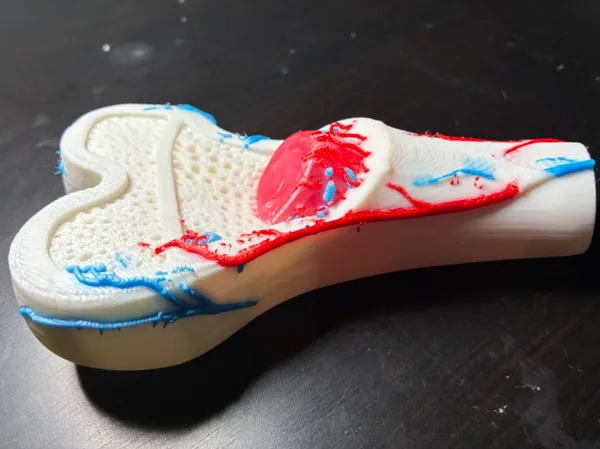 https://makerworld.bblmw.com/makerworld/model/US57e06a060037b9/design/d5a684ac91d02aac.jpeg