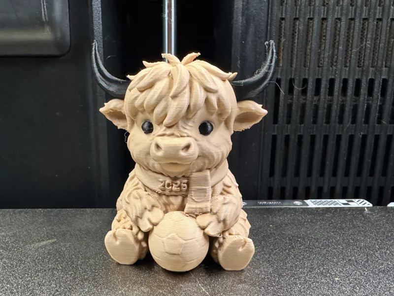 Match Day Highland Cow – Ready for the Finals