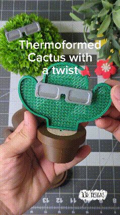 Thermoformed Cactus with Hidden Storage