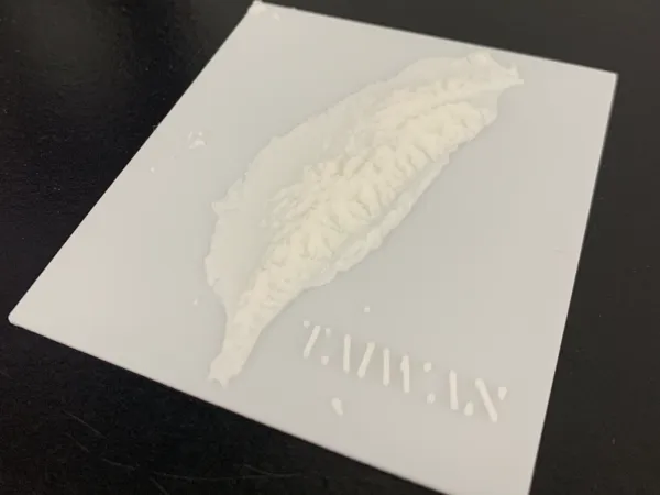 https://makerworld.bblmw.com/makerworld/model/US57e395419b9d8/design/2025-02-20_a54eb0a219a48.jpg