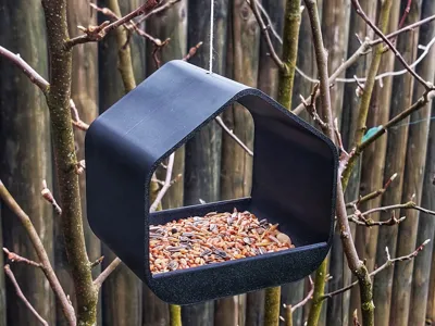 Bird Feeder