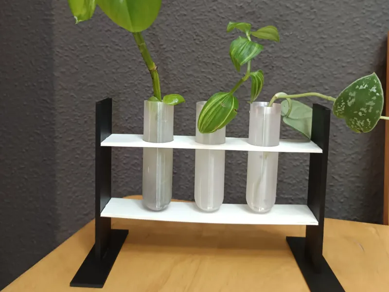 Set de inicio de plantas