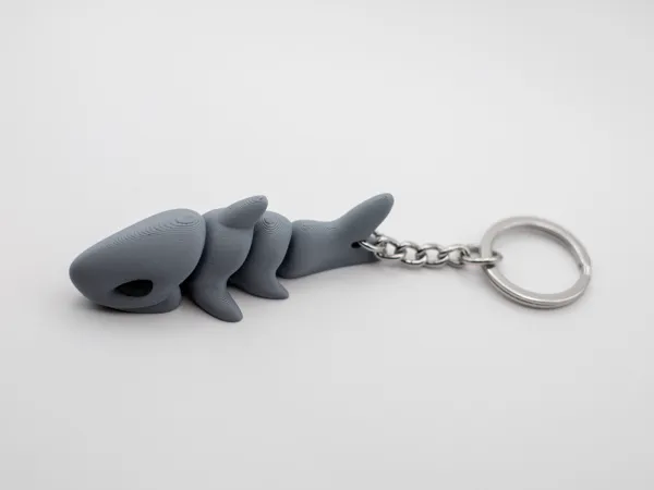 https://makerworld.bblmw.com/makerworld/model/US57ebaae95563d0/design/2025-02-25_4b20c3e748337.jpg